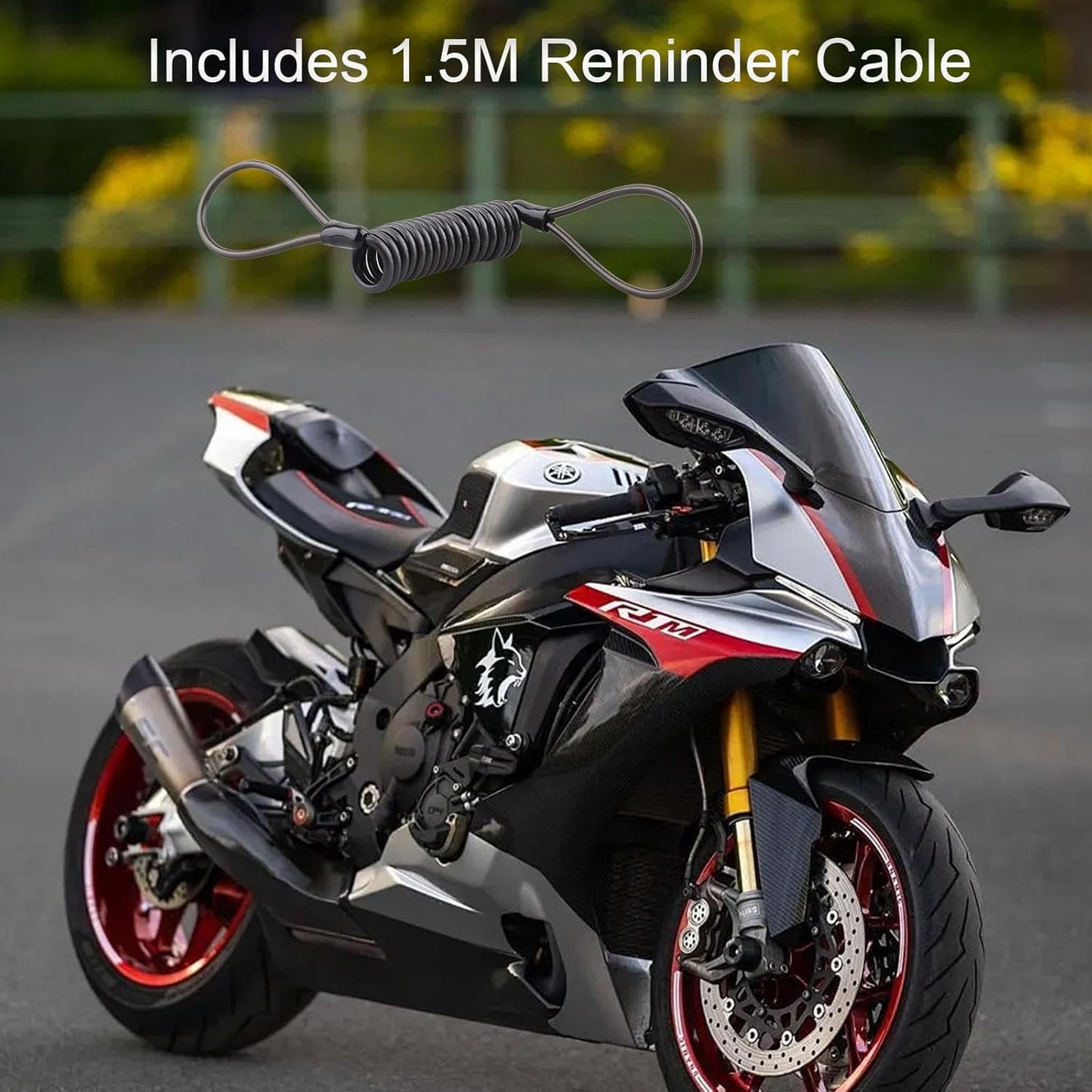 Motorcycle Alarm Disc Lock