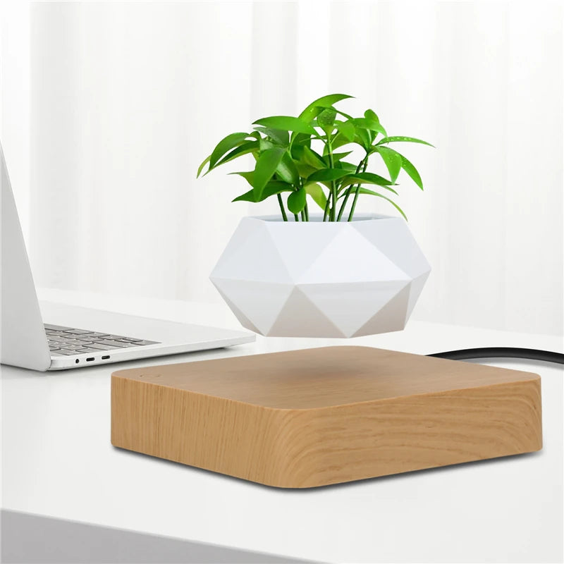 Magical Floating Plant Pot