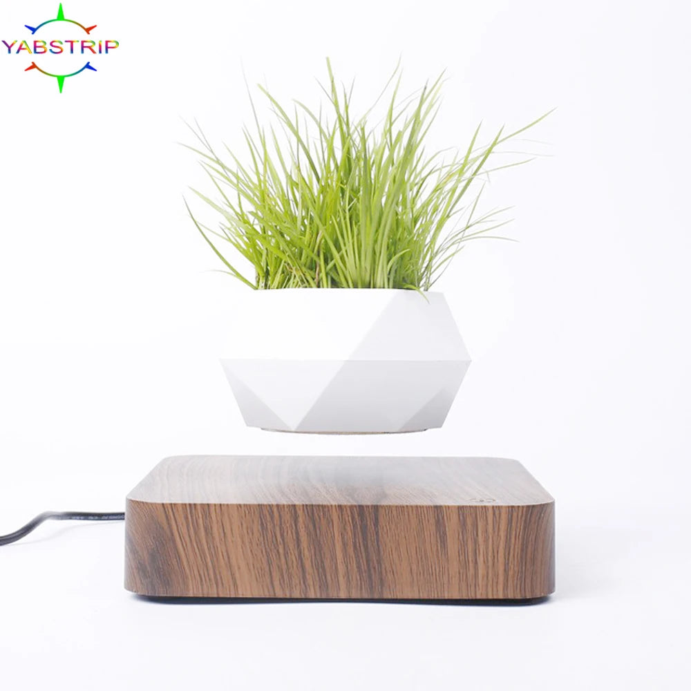 Magical Floating Plant Pot