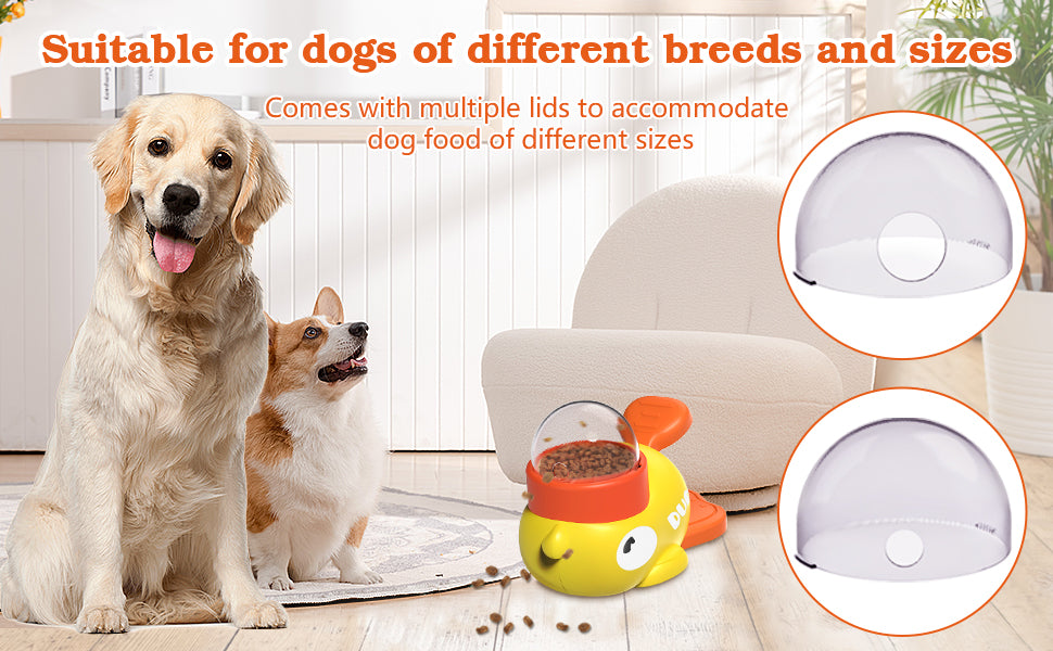 Two dogs with a pet food container and different-sized lids on a light-colored floor.