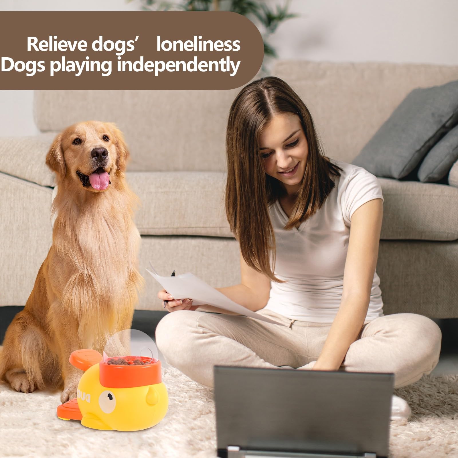 Woman sitting on a couch with a dog and a toy, text 'Relieve dogs' loneliness Dogs playing independently'.