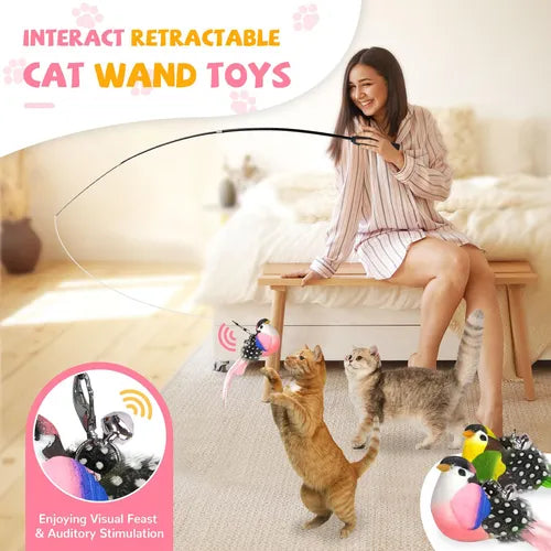 cat wand toys