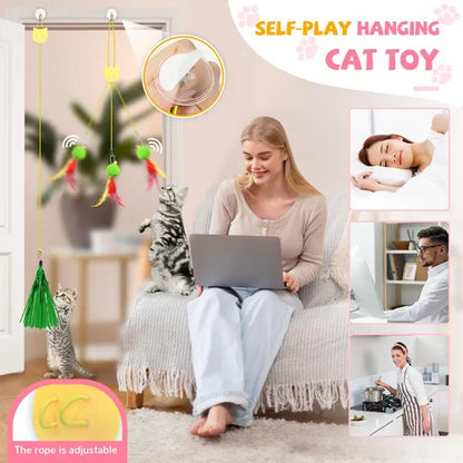 self play cat toy